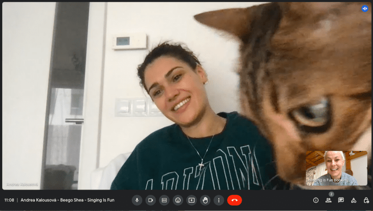 Screenshot 2024-07-21 at 11.04.33